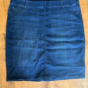 Denim Blue Women's Skirt